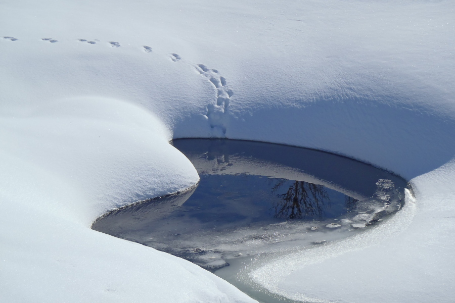 Vinter i Nord-Østerdalen: fjellskiturer, fjellskivandringer, vinterleirer (bilde)